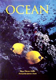 Ocean