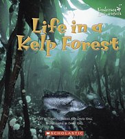 Life in a Kelp Forest
