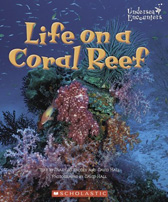 Life on a Coral Reef